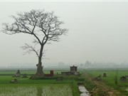 Lần đầu giải mã gene người cổ ở Việt Nam